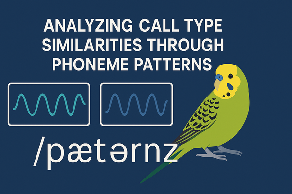 Budgie Sounds and Meanings: Analyzing Call Type Similarities Through Phoneme Patterns